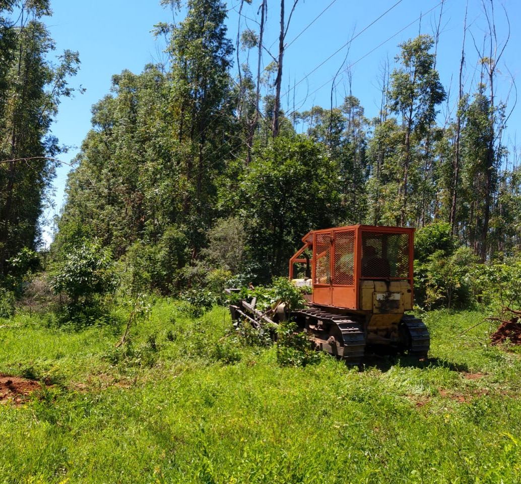 Limpeza mecanizada de faixa com trator de esteira