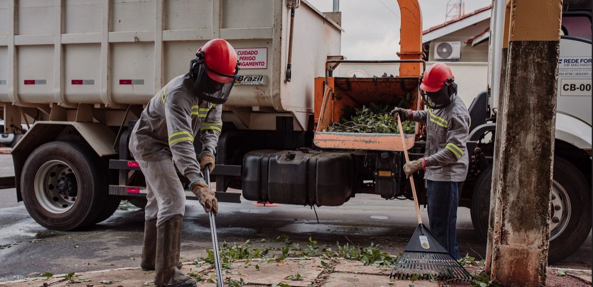 Poda de árvore urbana junto à rede elétrica